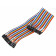 Renkforce Jumperkabel 40 polig, 40x Drahtbrücken-Buchse auf 40x Drahtbrücken-Buchse, 30 cm lang, Hersteller Artikelnummer 2299845